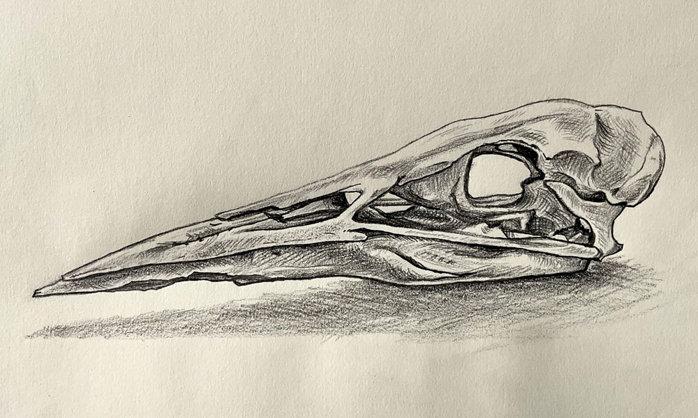 Pencil drawing for a sketch book prop on the film set